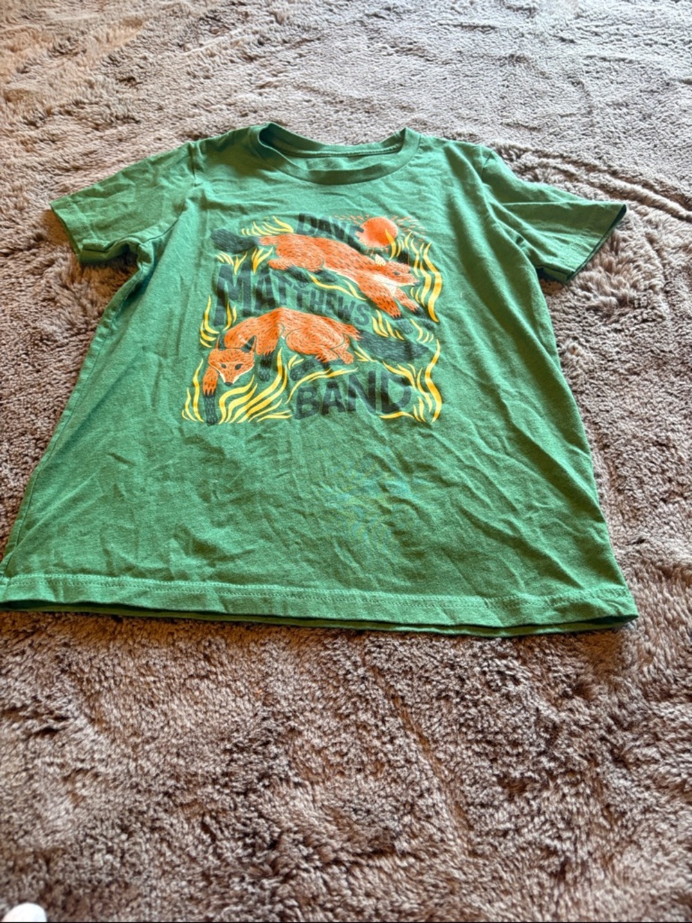 Dave Matthews Band - Kids Green Short-Sleeve Tee with Playful Fox Graphic